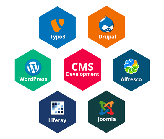 cms web development service mumbai