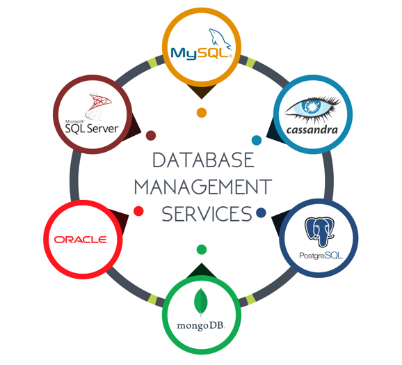 database management service mumbai